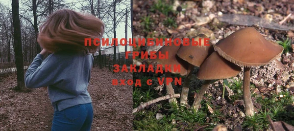 бошки Щучье