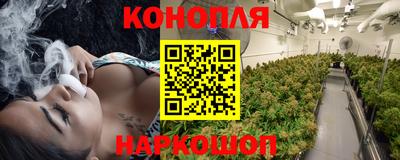 трава Партизанск