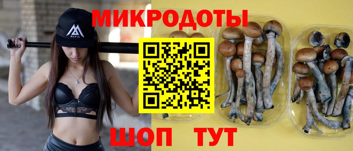 Топки  Галлюциногенные грибы Psilocybine cubensis  Вход с VPN 